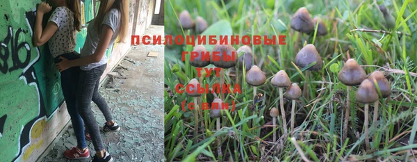 не бодяженный Володарск