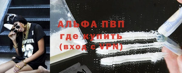 шишки Дубовка