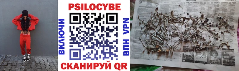 Галлюциногенные грибы GOLDEN TEACHER  площадка официальный сайт  блэк спрут вход  Кингисепп  где можно купить наркотик 